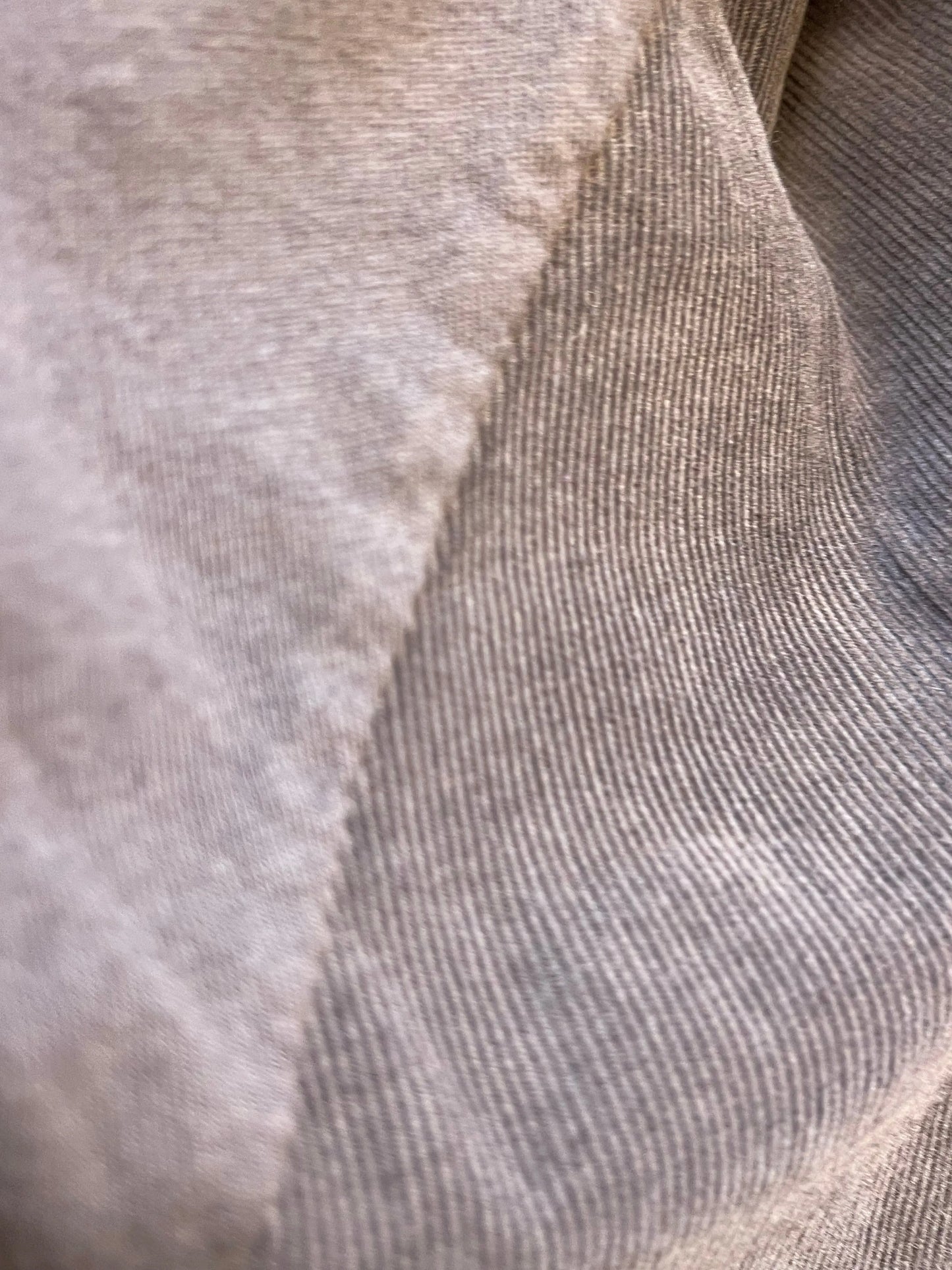 T-shirt CLOE - Chocolat Marguerite