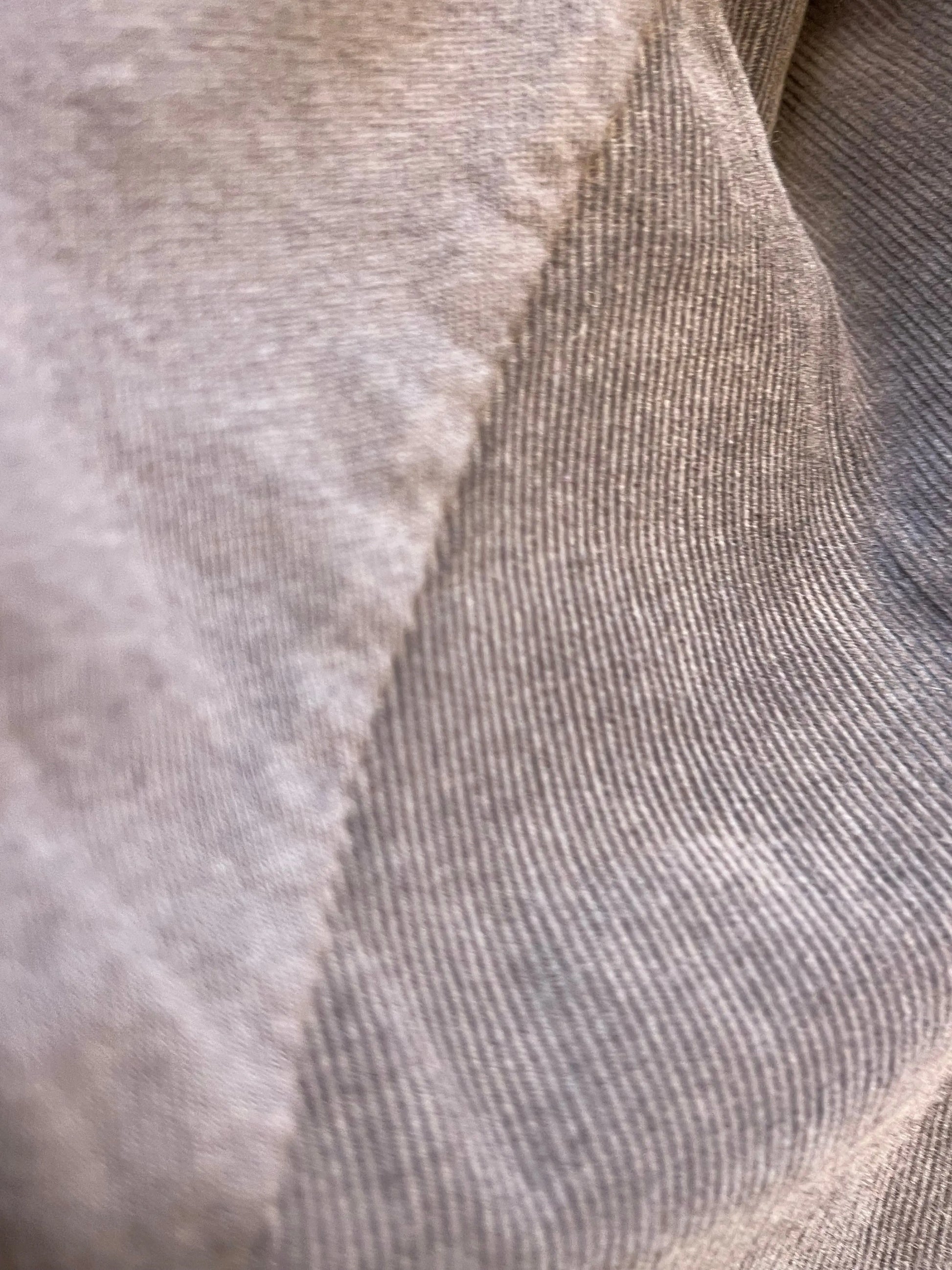 T-shirt CLOE - Chocolat Marguerite